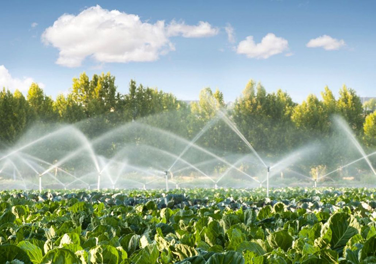 En la agricultura, los sistemas de riego son utilizados para un