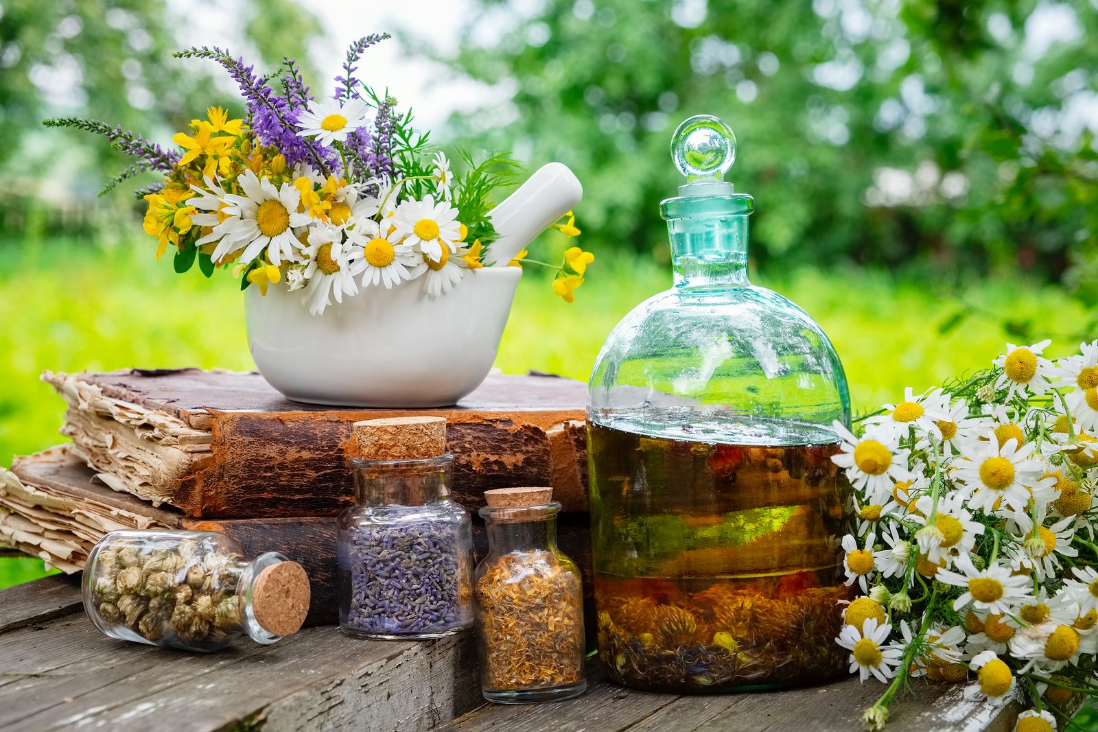 Plantas medicinales, una opción tradicional y natural para conservar la