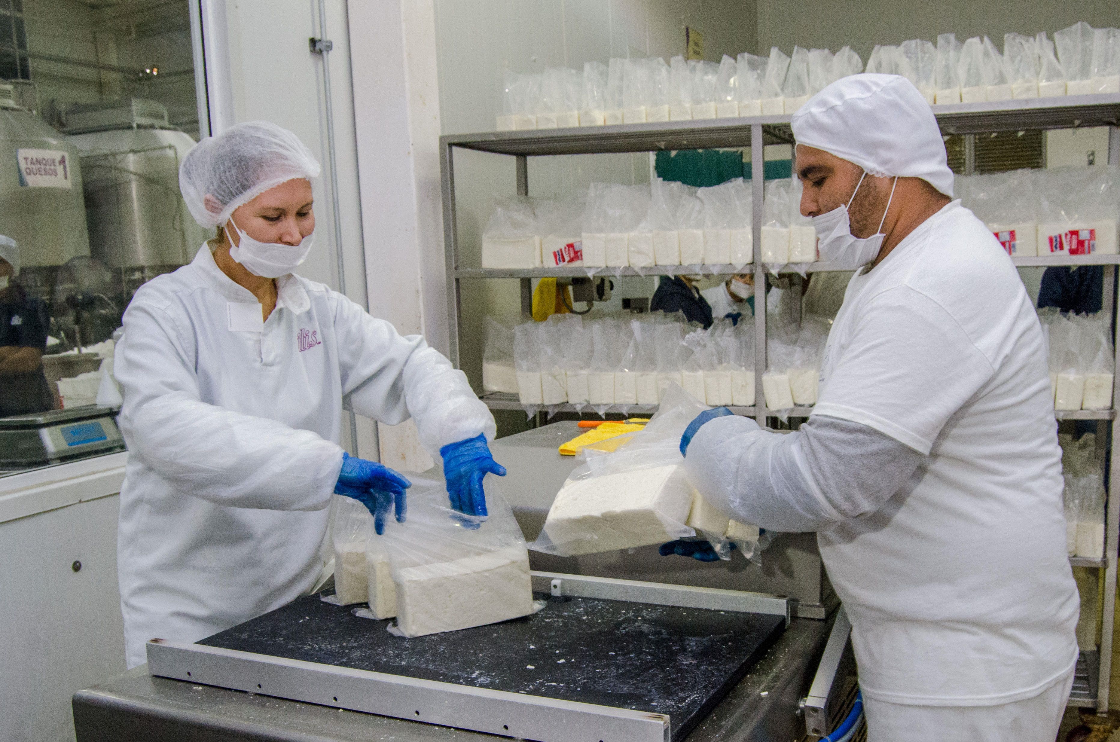 17 de agosto Día Nacional del Médico Veterinario Zootecnista
