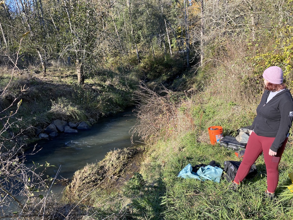 eDNA Sampling at Creek Greater Oregon City Watershed Council