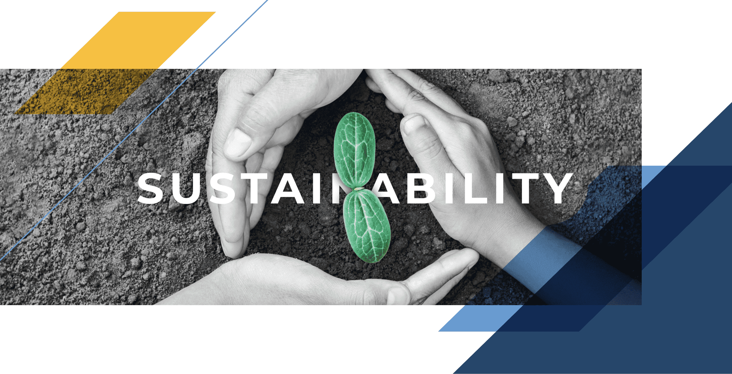 Leverage Sustainability Reporting In Your B2B Marketing Godfrey