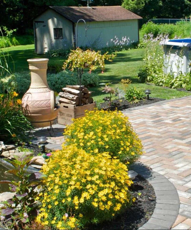 Pest Control Service Niceville, FL Free Estimates!