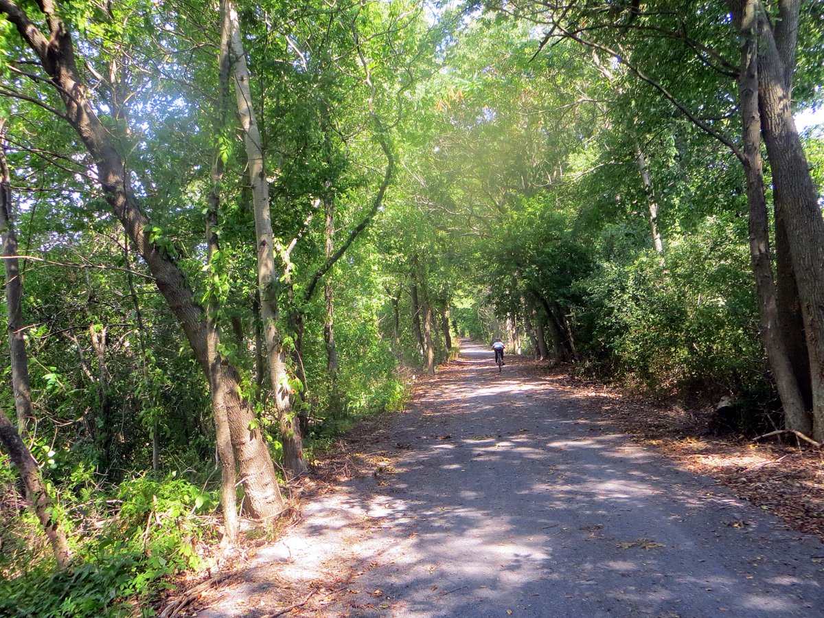 Best Mountain Biking Spots in the Finger Lakes Go Finger Lakes