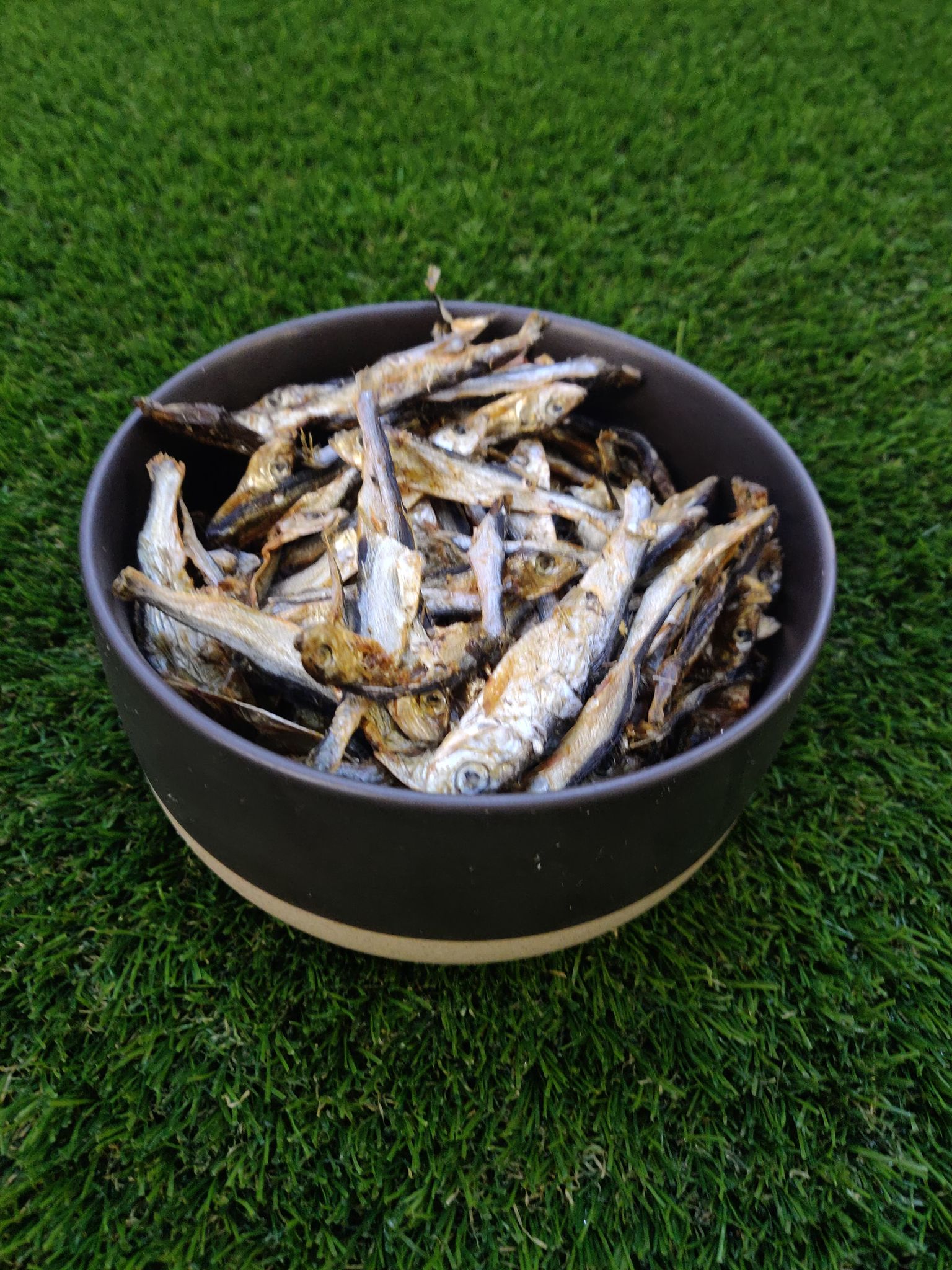 Dried Sprats Go For Raw