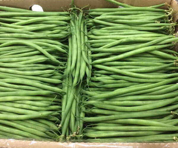 Go for Green (K) Limited