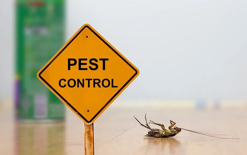 Residential Pest Control Wichita's 1 Green Home Exterminator