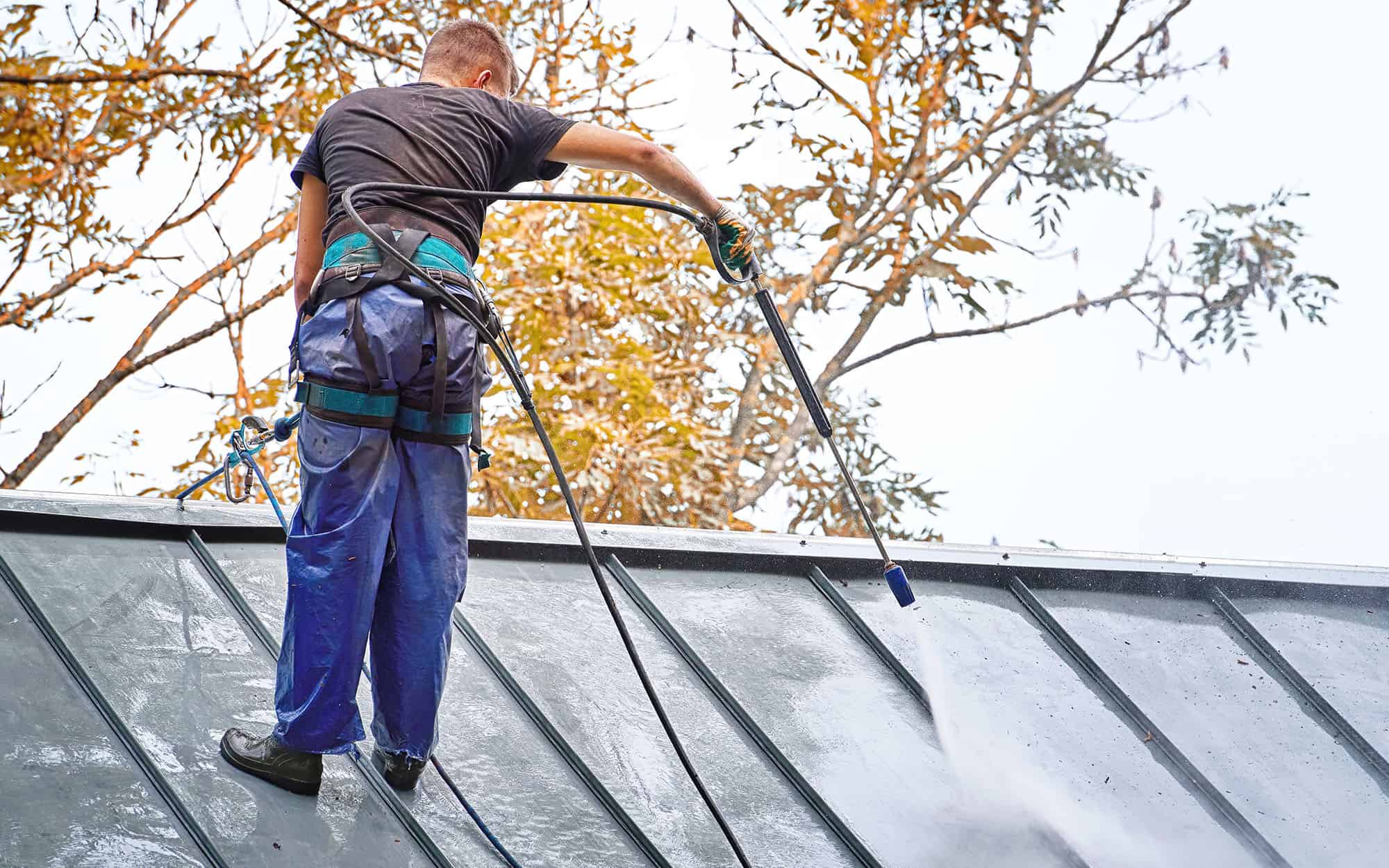 Frequently Asked Questions GoGreen Roofing Corp.