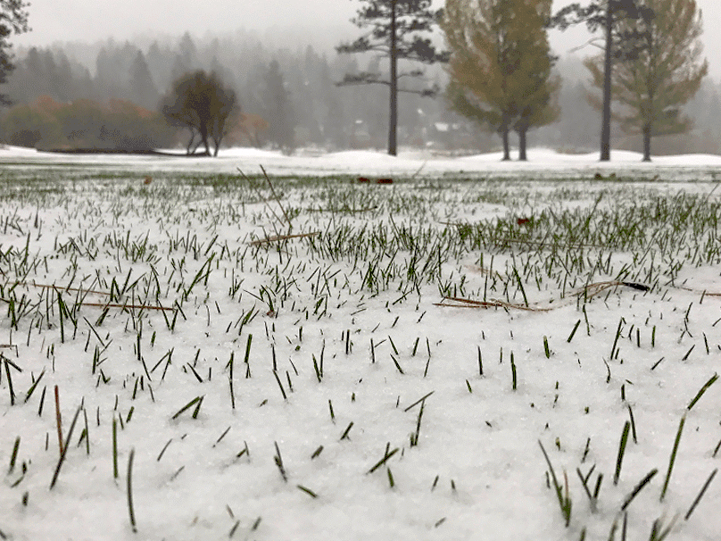 Snow Hiking Go Hike It