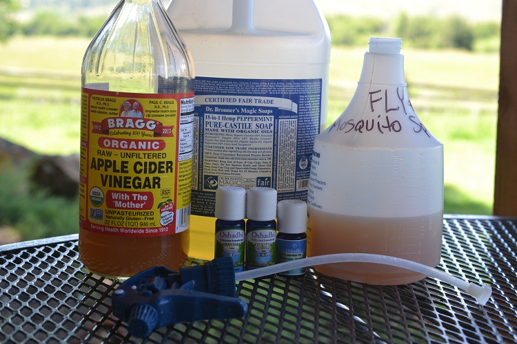 Homemade Natural Bug Repellent Recipes Going Evergreen