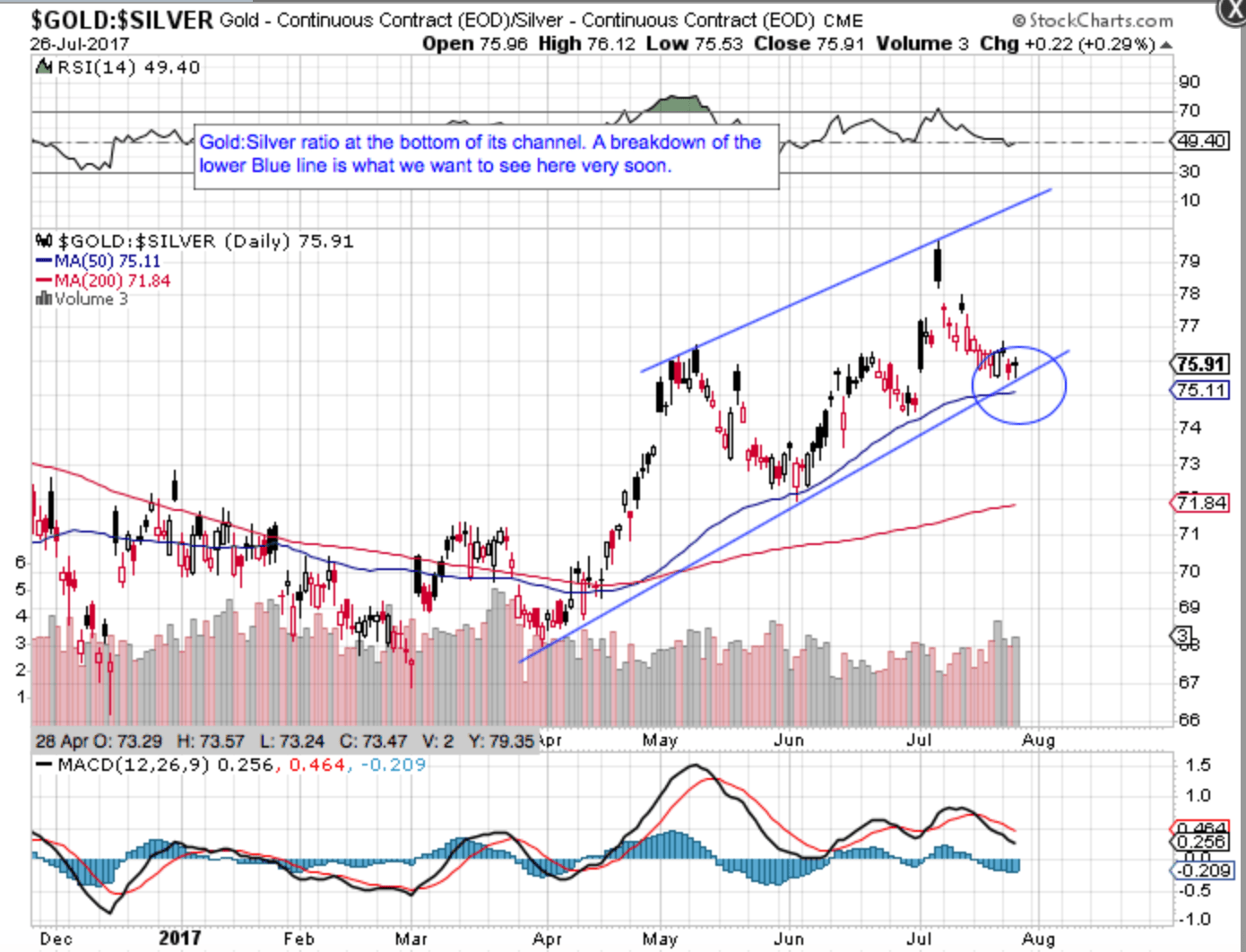 Gold Cycle Outlook Cautiously Bullish Gold Eagle