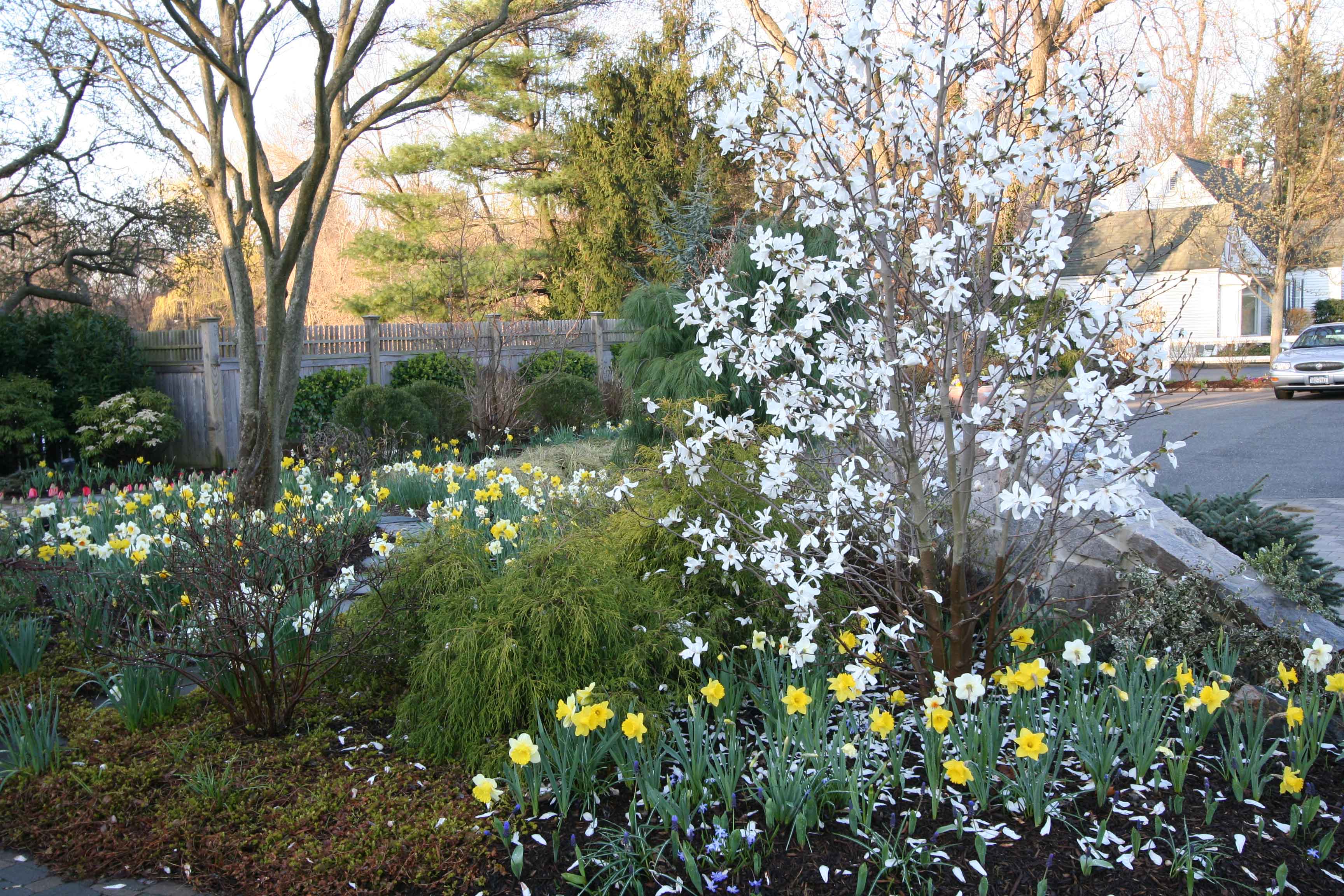 Spring Landscape Preparation Goldberg & Rodler, Inc.