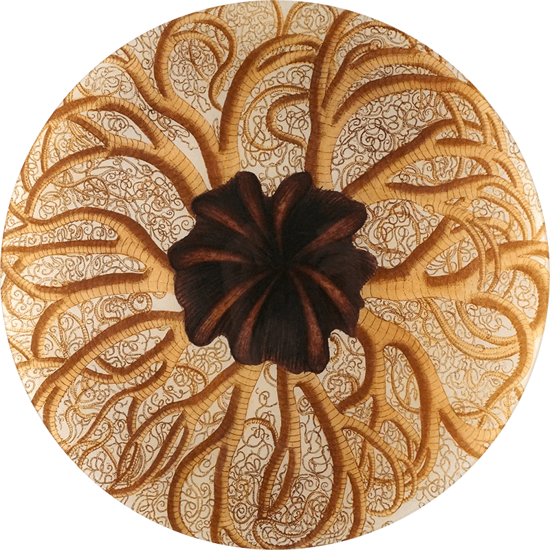 Large Round Brittlestar Tray