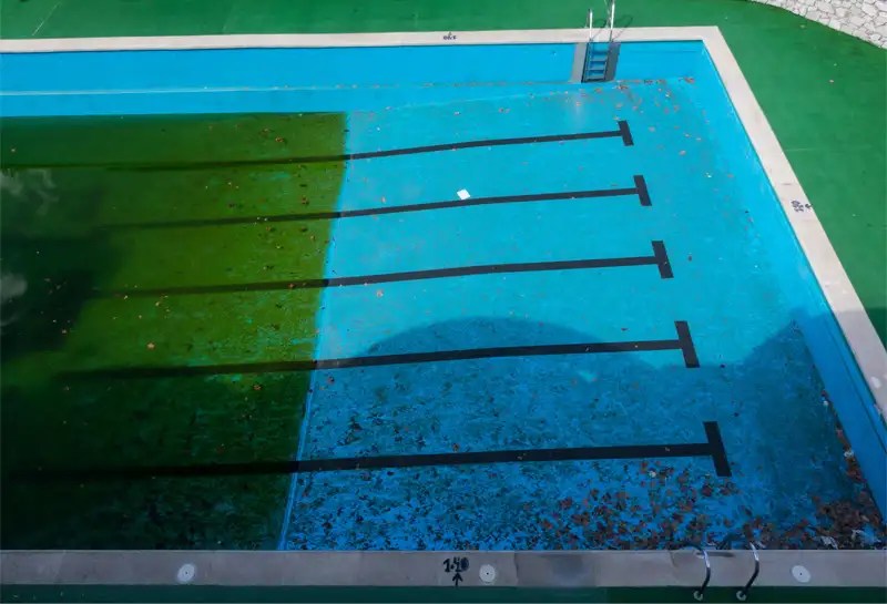 Pool Algae and Effective Solutions Gold Coast Pool Cleaning