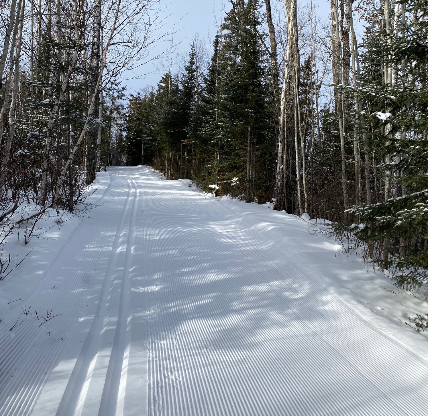 Golden Eagle Lodge Minnesota Resort Gunflint Trail Grand Marais
