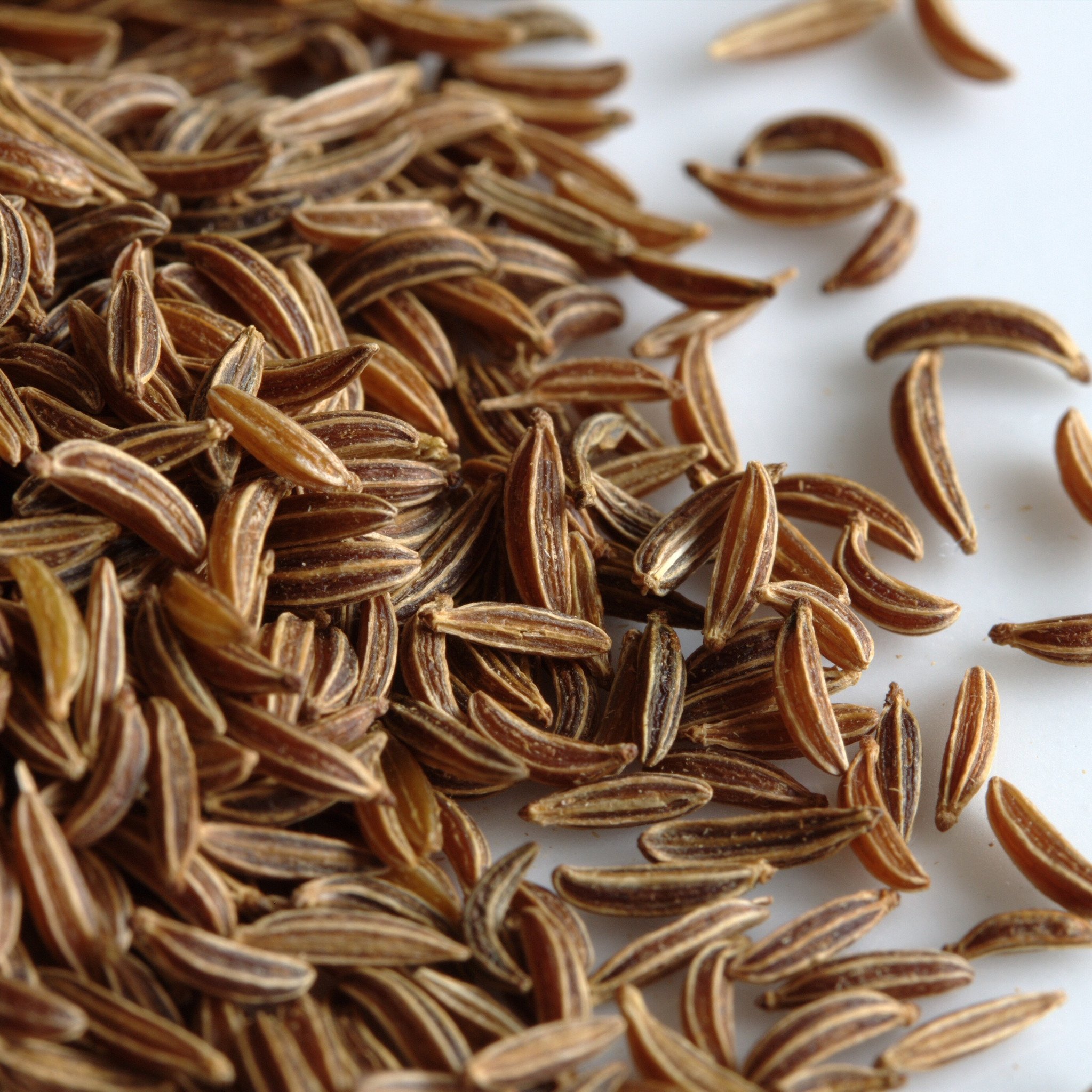 Anise Seed