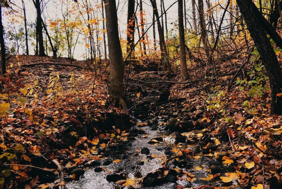 Plattsburgh, NY Uncovering Hidden Gems and Thrilling Activities