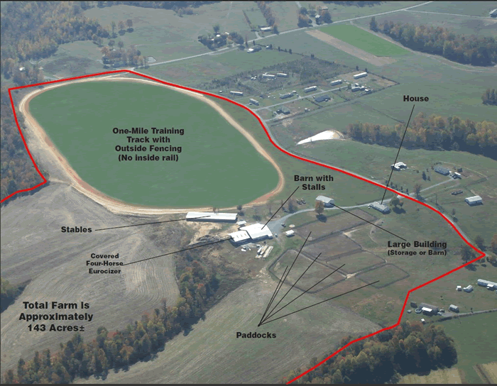 Golden RuleWilson Auction & Realty