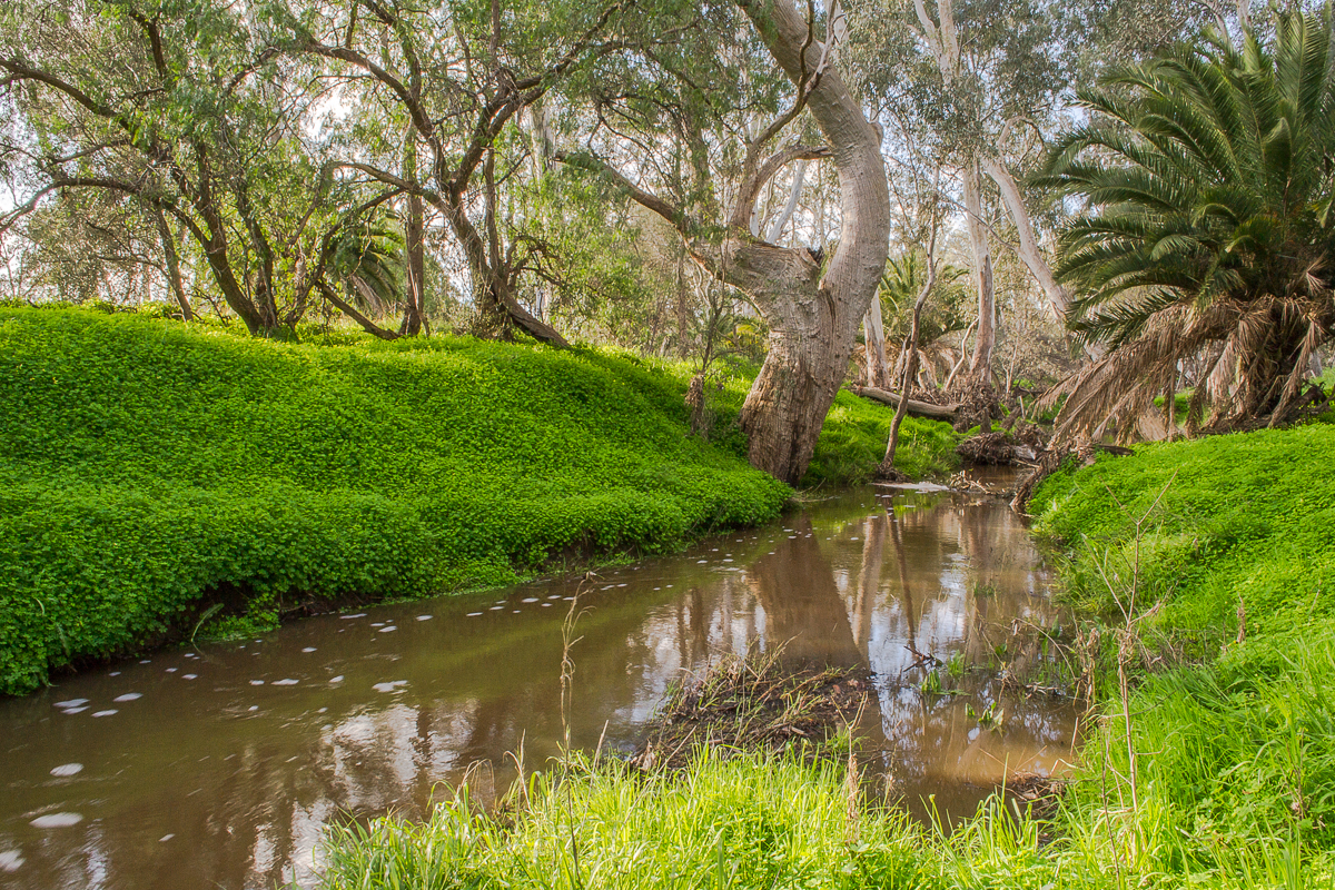 Marong Rest Area Goldfields Guide