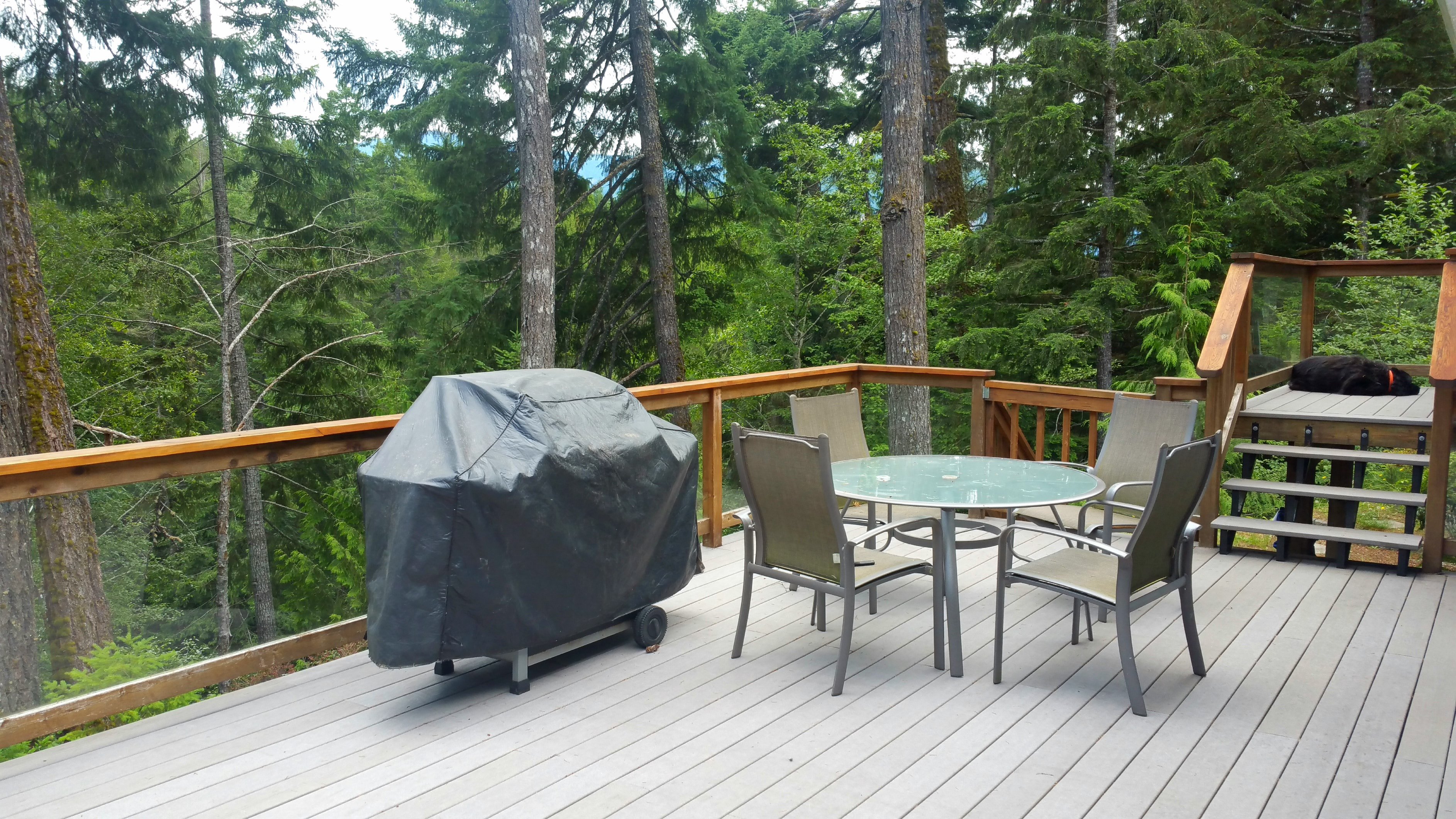 Gold River Home for Rent Gold River Buzz