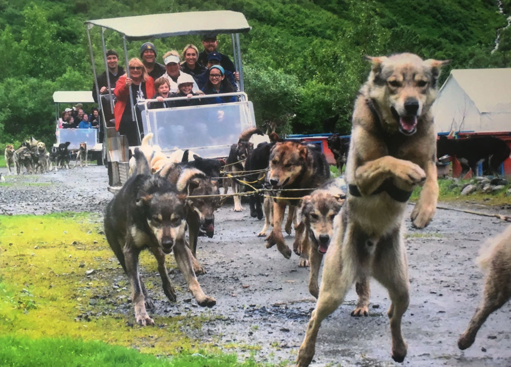 Gold Rush Dog Tours Juneau and Skagway, Alaska