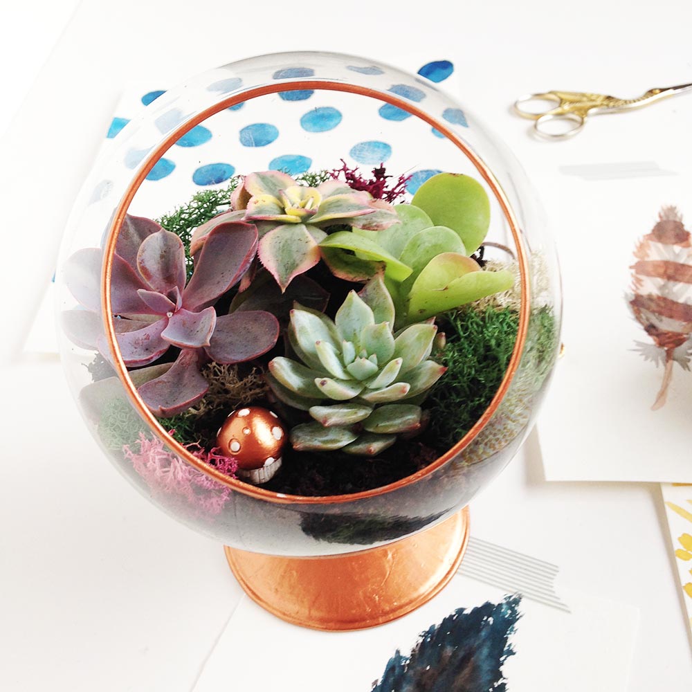 3 Ways to Personalize Your DIY Terrarium Gold Standard