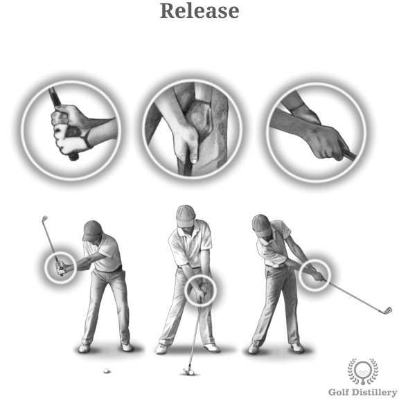Golf Swing Illustrated Definitions & InDepth Guide Golf Distillery
