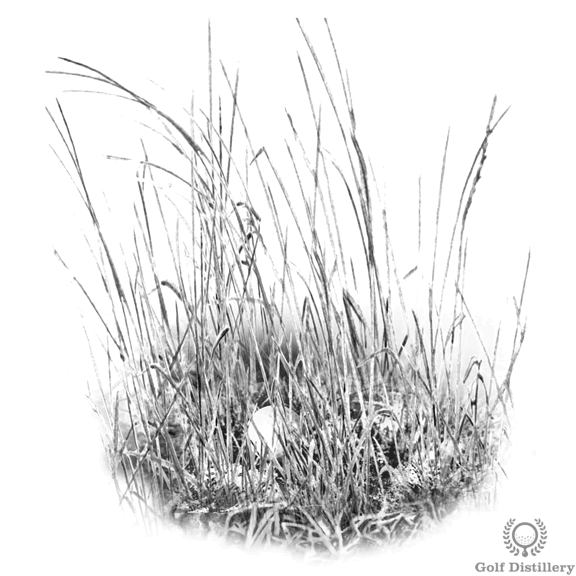 How to Hit Golf Shots from Tall Grass (Fescue) Golf Distillery