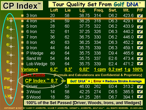 Golf DNA Realize Breakthrough Improvements Performance Index)