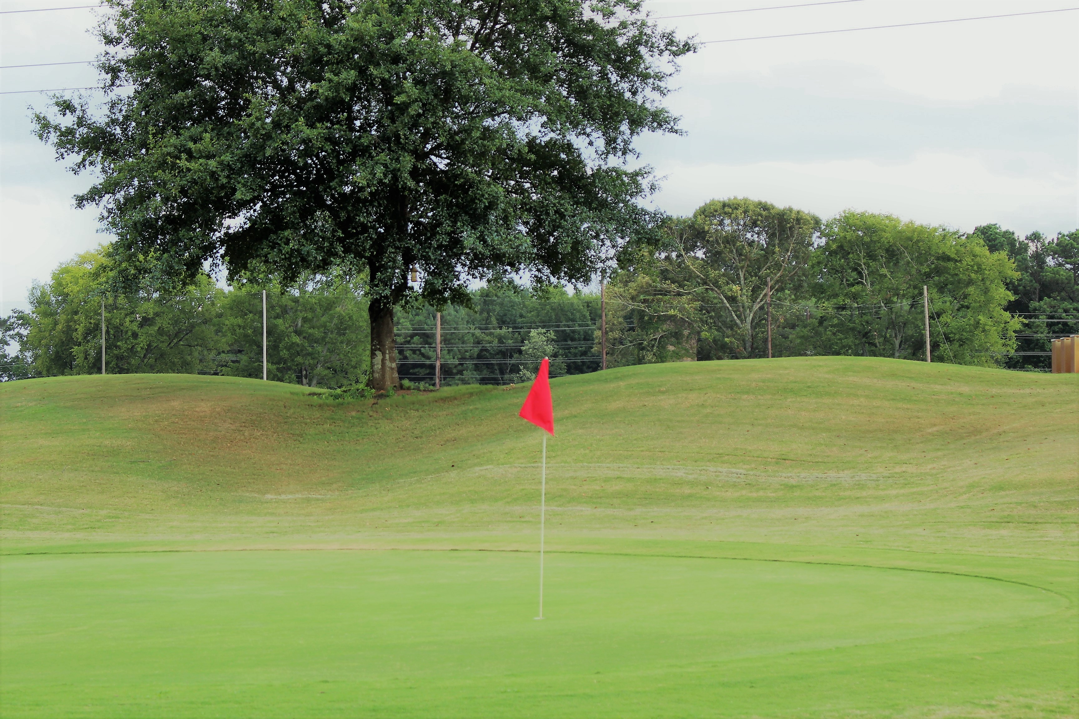 Turf Talk Why We Verticut and Topdress Our Greens