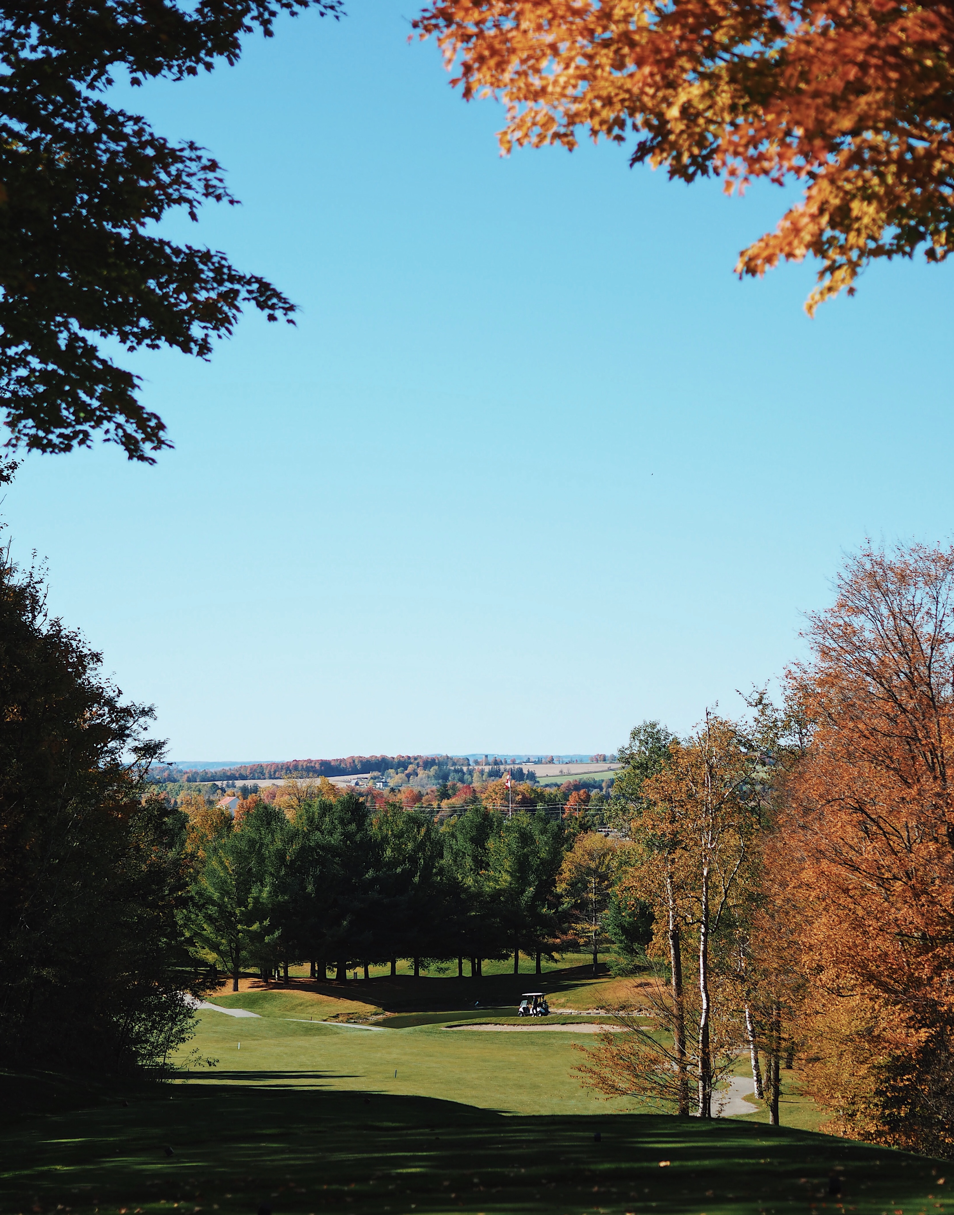 Nottawasaga Ridge Course Simcoe Golf Discounts and Coupons on Green