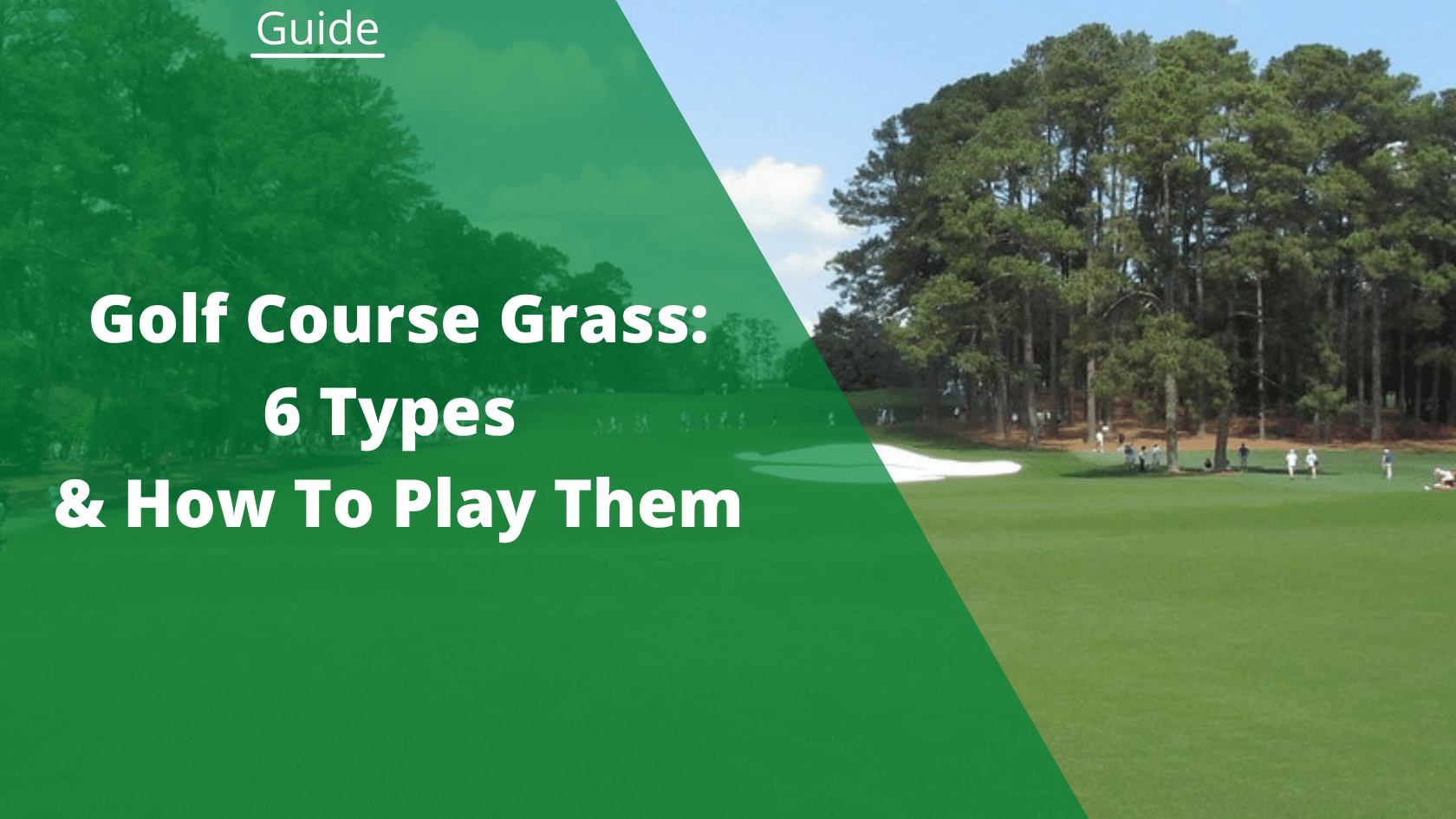 Golf Course Grass 6 Types & How To Play Them