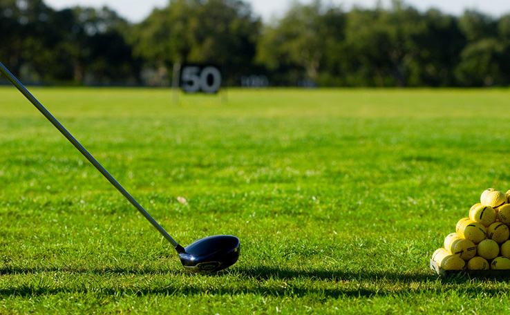 Titleist 917 Driver Adjustment Guide + (CHART) Golf Storage Ideas