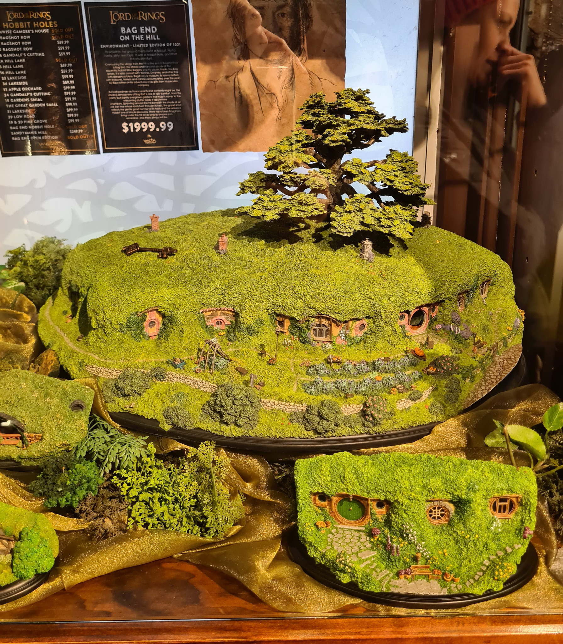 The Lord of the Rings Bag End On The Hill Environment