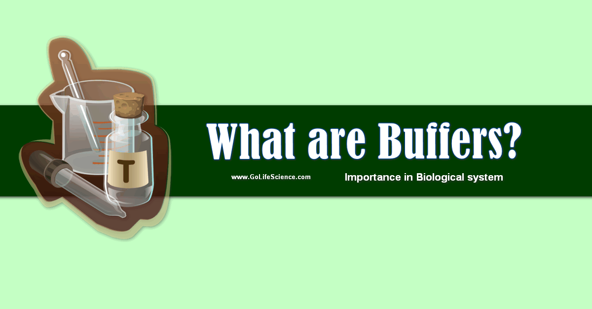 Buffers What are the Importance of Buffers in Biological system?