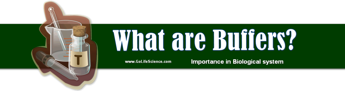 Buffers What are the Importance of Buffers in Biological system?