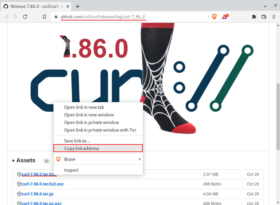 How to install cURL in Ubuntu? [SOLVED] GoLinuxCloud