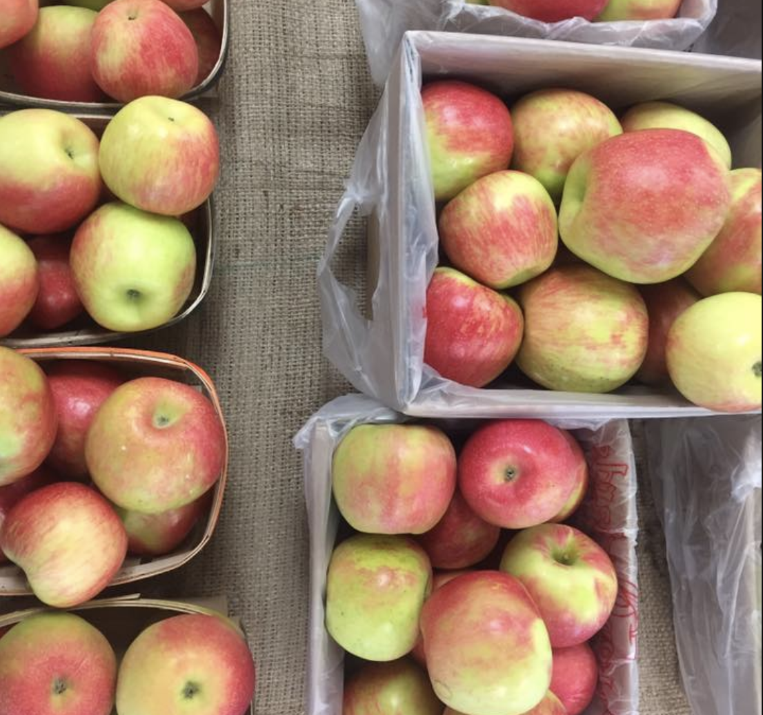 GoLocalProv 20 Great Places to go Apple Picking in New England
