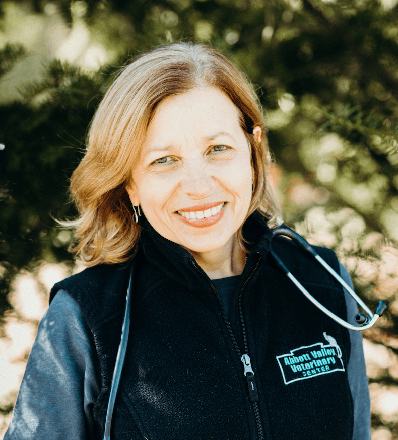 GoLocalProv People on the Move RI Veterinary Medical Association