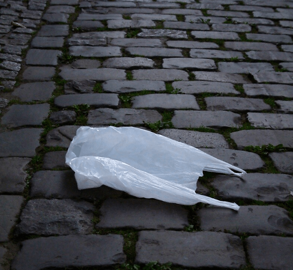 GoLocalProv Plastic Bag Ban Goes Into Effect on Oct 22 at Providence