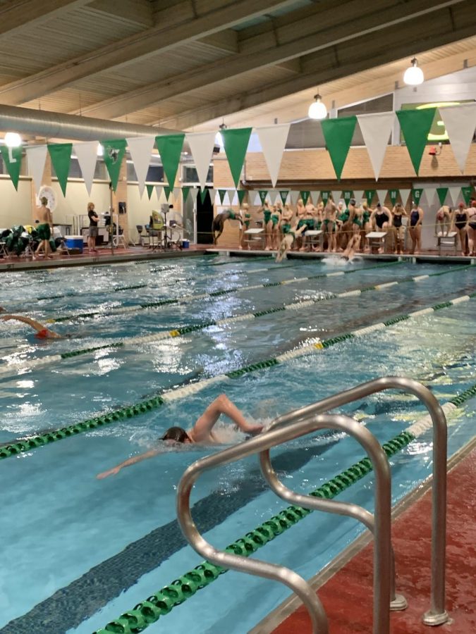 Fast Fins Elite Facilities