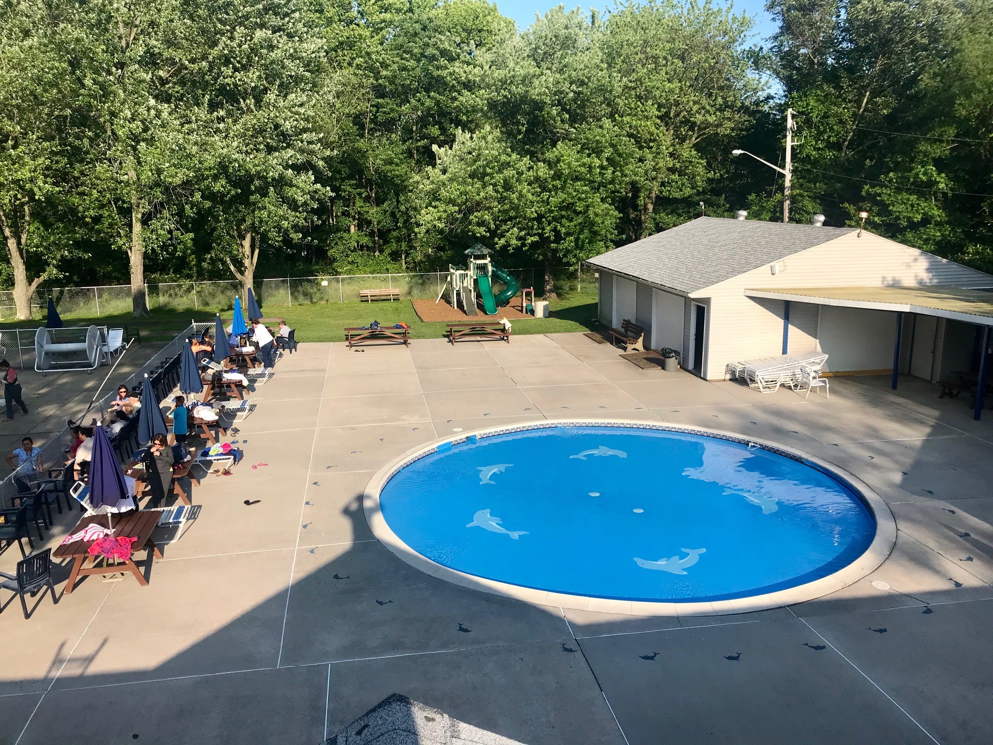 Ashbourne Swim Club Photos