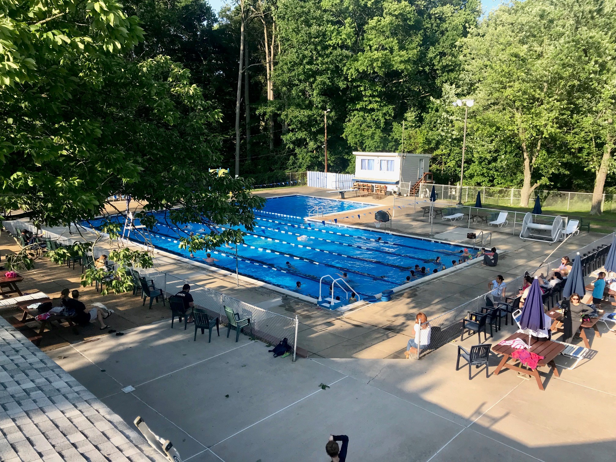 Ashbourne Swim Club Photos