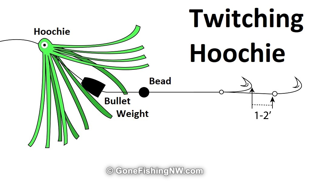 The Best Guide to Beach Fish for Pink Salmon Gone Fishing Northwest