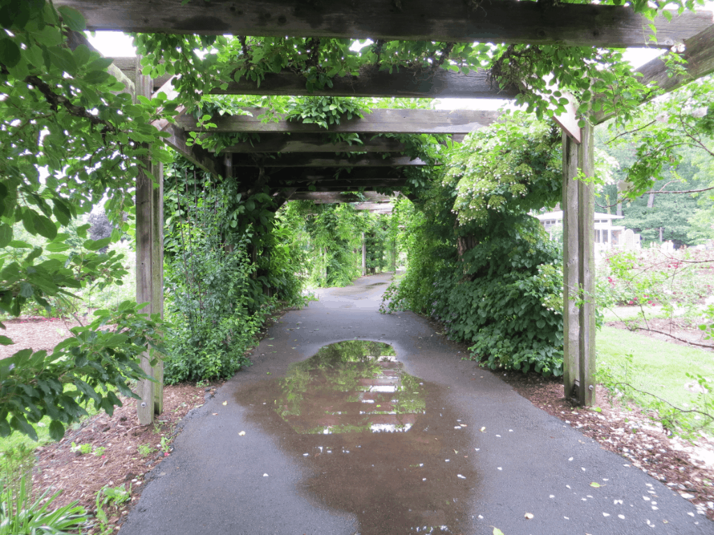 The Royal Botanical Gardens in Photos Gone With The Family