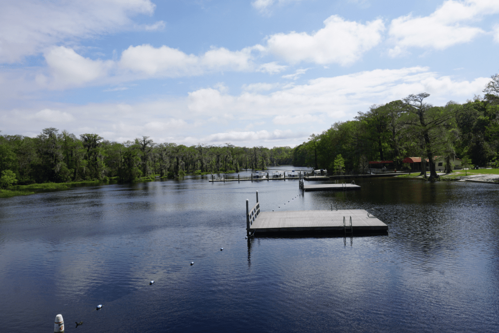 Christmas Assistance 2024 Wakulla Tallahassee Florida A Fun Day Trip from Tallahassee to Wakulla Springs State Park Gone