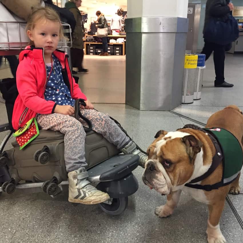 Traveling With A Pet In Europe