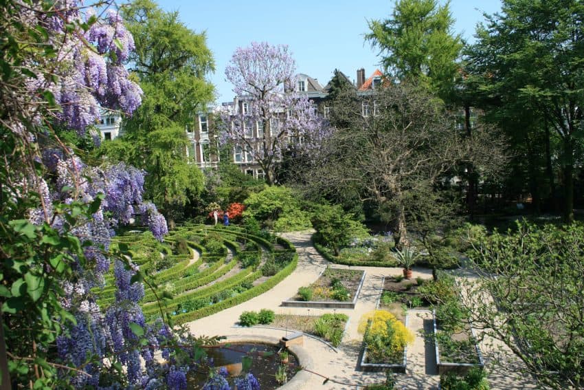 Hortus Botanicus Amsterdam's Garden Oasis