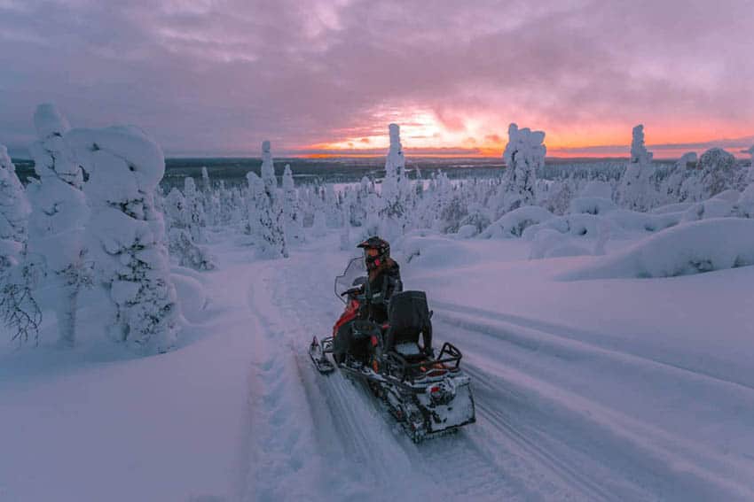 Salla National Park Finland's Newest Addition