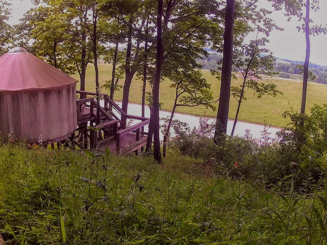 The Wilds Ohio's Only Wildlife Safari