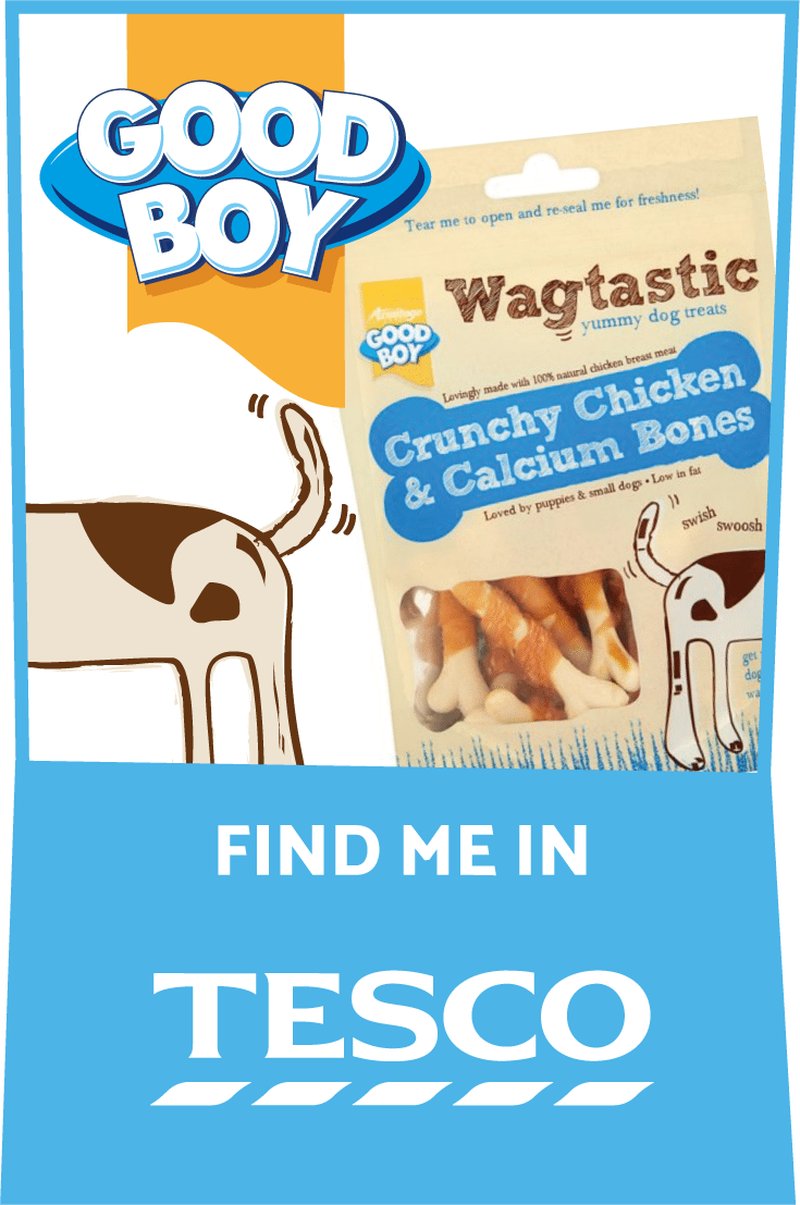 Good Boy Dog Treats & Toys Your Furry Pal Will Love